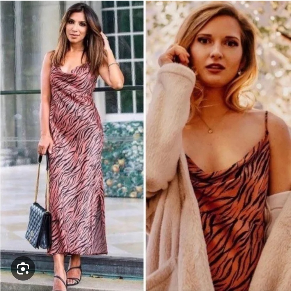 Anthropologie Elyse Animal Print Printed Bias Slip Dress Size XS